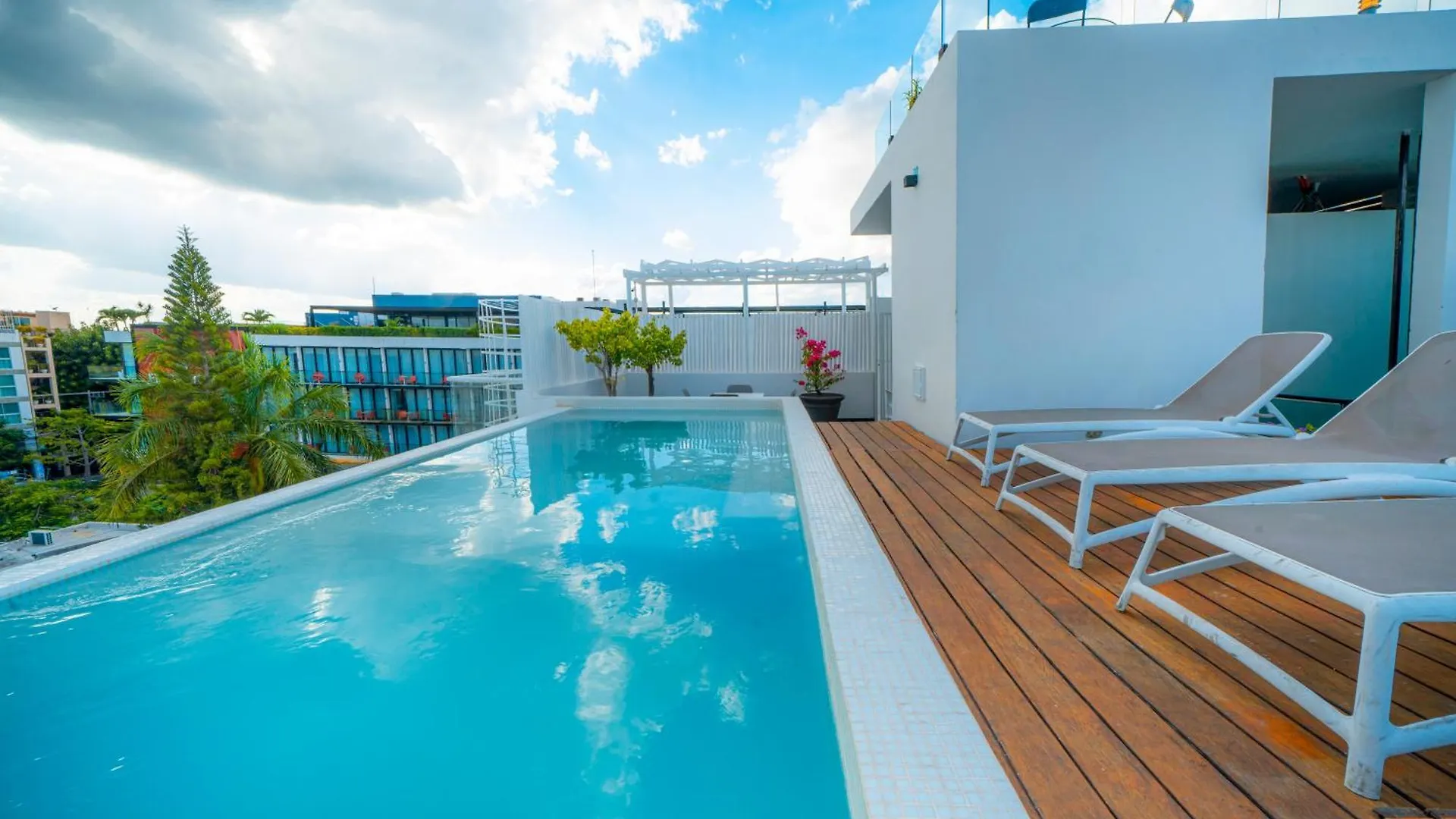 The Loft - Condo In Center Of Playa Del Carmen Mexico
